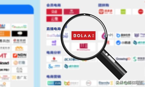 博拉網絡 以多項數字化服務領先優勢，榮登中國數字營銷生態圖